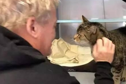 小猫走失10个月后被找到,宠主和猫咪相见时留下了激动的眼泪 小猫走失10个月后被找到,宠主和猫咪相见时留下了激动的眼泪