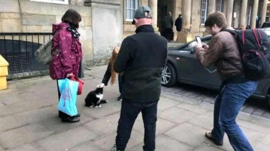 小奶猫在车站等妈妈,却被人类“套路”了11年,脏活累活全是它! 小奶猫在车站等妈妈,却被人类“套路”了11年,脏活累活全是它!
