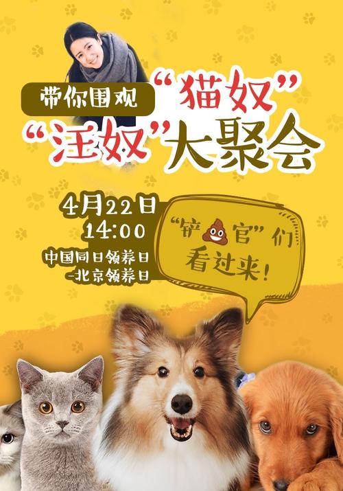 违规养狗会坐牢吗 | 铲屎官们注意了!违规养犬,你的爱犬会“坐牢” 违规养狗会坐牢吗 | 铲屎官们注意了!违规养犬,你的爱犬会“坐牢”