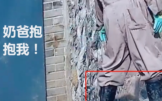 熊猫给奶爸开门后“离奇失踪”，奶爸不知所措，网友：兄弟，低头