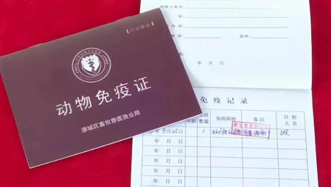 狗狗要办理《动物检疫合格证明》你知道怎么办理吗？