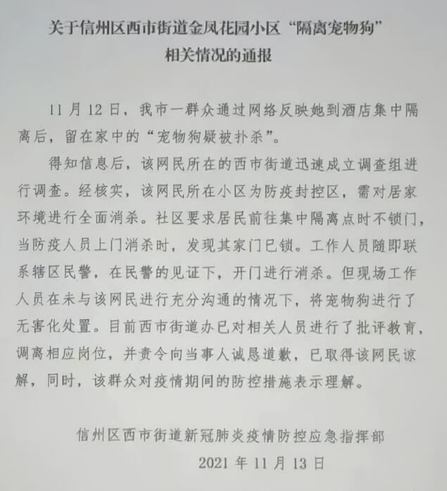 主人隔离宠物狗在家被扑杀”引关注,当地深夜通报 主人隔离宠物狗在家被扑杀”引关注,当地深夜通报