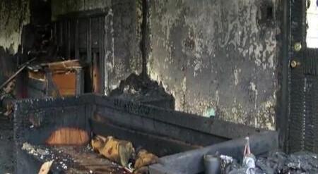 主人睡觉被猫咪咬醒，起来发现家里着火了，如今把猫当救命恩人 