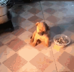 QQ截图20211222140854.png