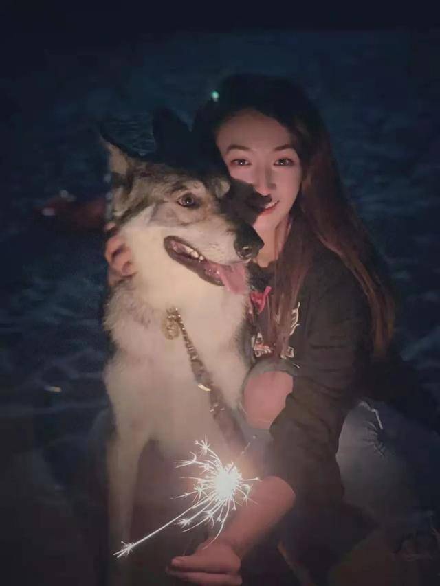 狗狗太想主人，竟焦虑到要跳楼……