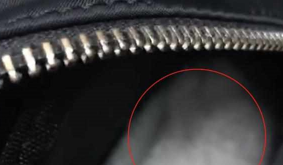 上班时发现包里传来猫叫声，打开包后笑哭，喵：我就待着不捣乱！