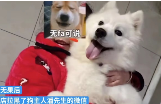 一男子将自家的萨摩耶送去宠物店洗澡,不料...... 一男子将自家的萨摩耶送去宠物店洗澡,不料......