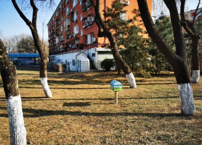 狗狗的“便便屋”——温馨之举，或许“没挠到痒处”！