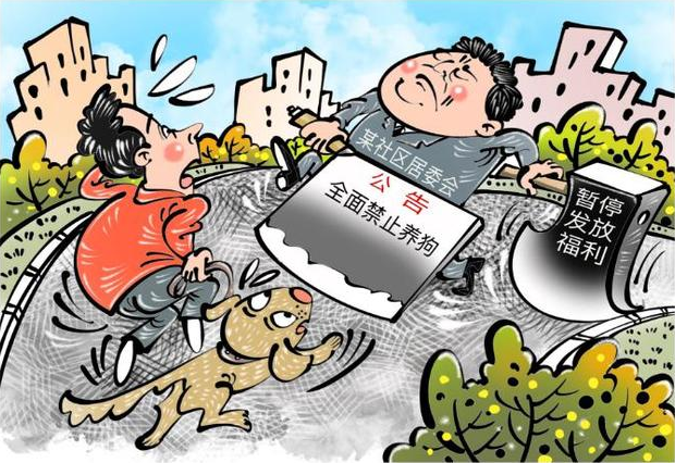 社区禁止养狗引质疑_​漫·议｜社区全面禁犬，为何不得人心？