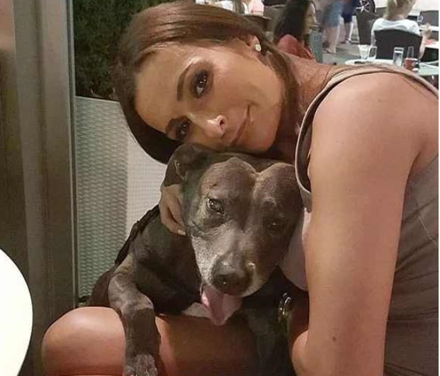 痛失爱犬的铲屎官花费近4万为狗狗举行盛大葬礼:它是我的一切 痛失爱犬的铲屎官花费近4万为狗狗举行盛大葬礼:它是我的一切