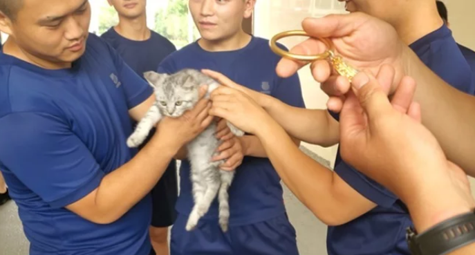 猫头被手镯卡住了,消防员却发出灵魂拷问保猫还是保镯子