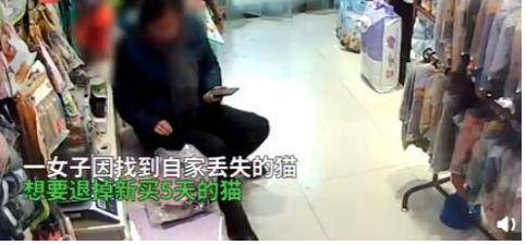 女子退猫不成暴摔小猫还用脚踩，监控拍下虐心一幕，当事人回应了 