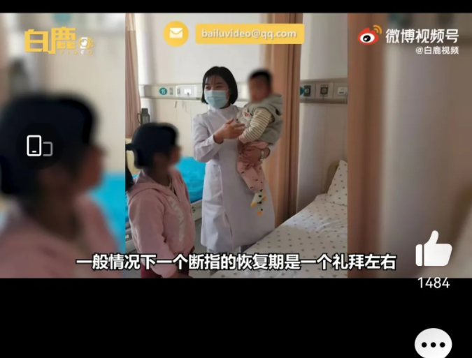 一岁女童被兔子咬掉手指尖 一岁女童被兔子咬掉手指尖