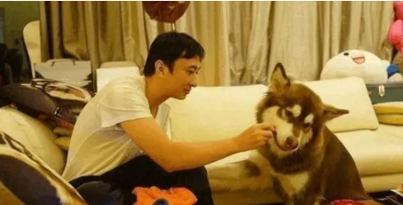 王思聪的爱犬可可：用爱马仕狗盆，坐私人飞机，走丢后悬赏100万