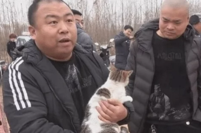 猫咪走失主人苦寻，却在狗市意外相遇，相认时刻笑坏周围人