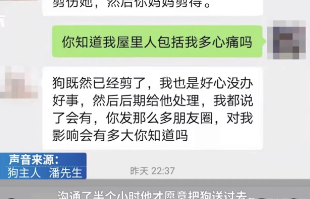 一男子将自家的萨摩耶送去宠物店洗澡,不料...... 一男子将自家的萨摩耶送去宠物店洗澡,不料......