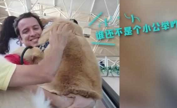 快一百斤大金毛怕坐电梯,要小哥抱抱才敢上:你说你丢不丢狗? 快一百斤大金毛怕坐电梯,要小哥抱抱才敢上:你说你丢不丢狗?