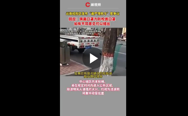 白天不能遛狗，还要给狗戴口罩？云南昭通回应“最严限狗令”