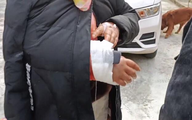 金毛因经常咬伤主人，险被男主人毒死，小哥：养狗一定要注意方法！