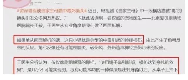 同样是被质疑虐待动物，于正和宁浩的回应，显然不在一样档次