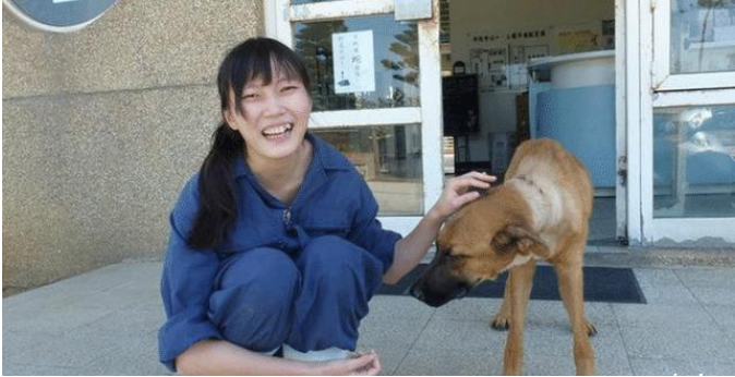 5年前,台湾女孩给几千只狗狗安乐死后,为何把最后一针给自己? 5年前,台湾女孩给几千只狗狗安乐死后,为何把最后一针给自己?