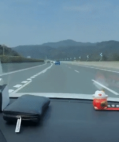 哈士奇跟主人过年回家,躺在汽车后座四仰八叉,二哈:看我舒服不 哈士奇跟主人过年回家,躺在汽车后座四仰八叉,二哈:看我舒服不