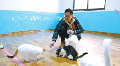 商丘小伙收养40多只流浪猫 自费30余万打造猫咪豪宅