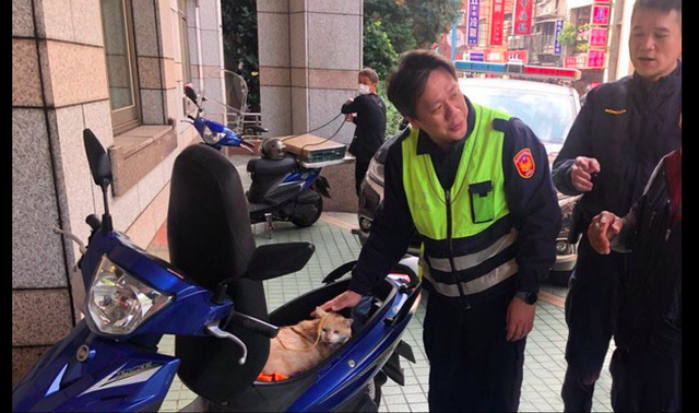 老人因喜欢橘猫将它偷走,警察找上门后哭笑不得,它还在埋头干饭 老人因喜欢橘猫将它偷走,警察找上门后哭笑不得,它还在埋头干饭