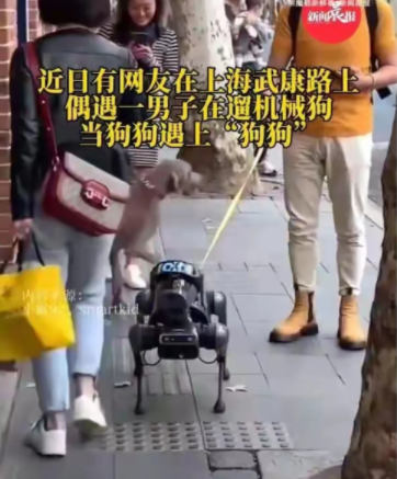 机器狗的宠物属性已经被挖掘出来了，已经有时髦人土开始在大街上溜机器狗了