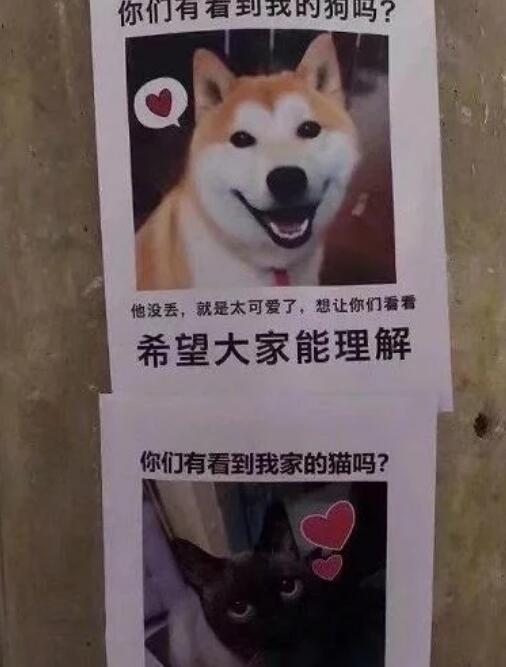 本以为是寻狗启示,没想到是炫狗狂魔,网友的“报复”手段太秀了 本以为是寻狗启示,没想到是炫狗狂魔,网友的“报复”手段太秀了