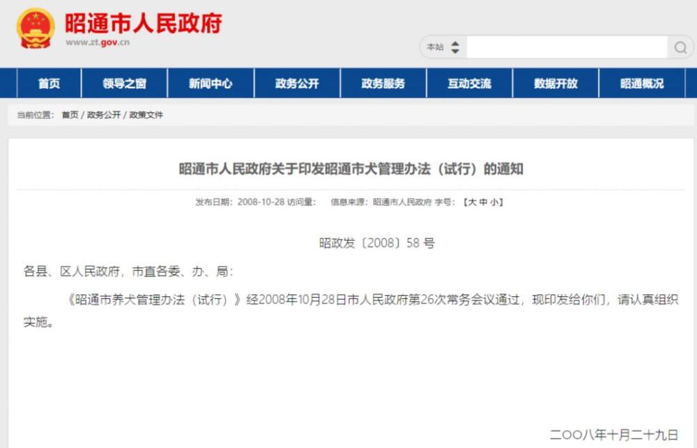 遛狗仅限凌晨，还要给狗戴口罩？云南昭通回应“最严遛狗令”