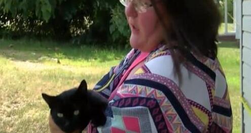 主人睡觉被猫咪咬醒，起来发现家里着火了，如今把猫当救命恩人 