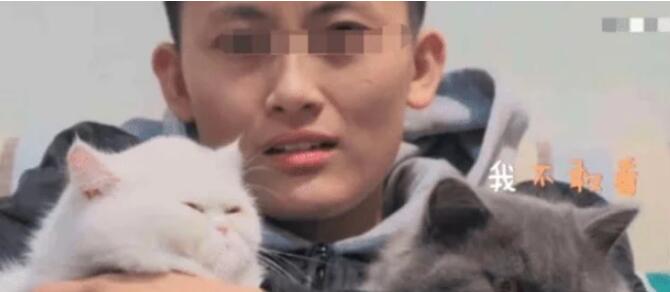小伙和猫咪在看恐怖片，看到鬼出来后，猫咪的表情亮了