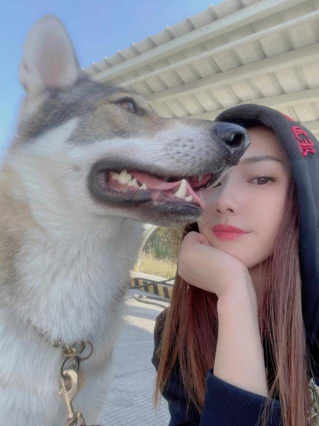 狗狗太想主人，竟焦虑到要跳楼……