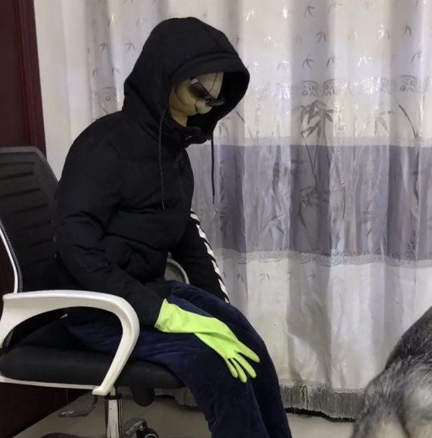 为防二哈拆家,主人特制假人,二哈反应笑翻网友 为防二哈拆家,主人特制假人,二哈反应笑翻网友