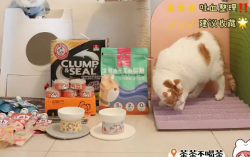 这年头连狗狗都要到酒吧买醉 遇厌世脸汪坐吧台