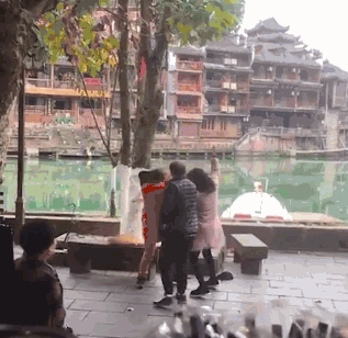 夫妻狗主的最后疯狂,不满宠物狗被驱赶,猛抽环卫工20余棍! 夫妻狗主的最后疯狂,不满宠物狗被驱赶,猛抽环卫工20余棍!