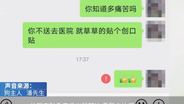 一男子将自家的萨摩耶送去宠物店洗澡,不料...... 一男子将自家的萨摩耶送去宠物店洗澡,不料......