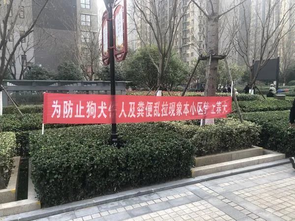 “30号之前不把狗狗送走,就会有人上门处理!”