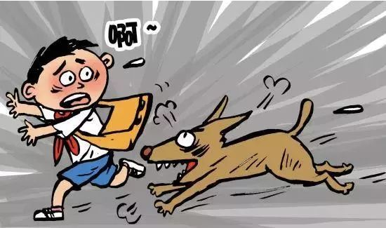 但愿狗事再不要变人事，人事要管好狗事！