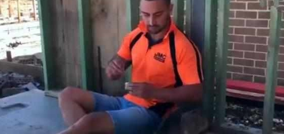 澳洲网友饲养国宝当宠物,小袋鼠蹦跳惹人爱,长大成为拳击手 澳洲网友饲养国宝当宠物,小袋鼠蹦跳惹人爱,长大成为拳击手