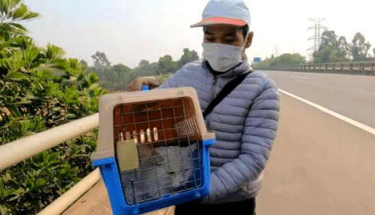 邋遢白猫被人类拴在桥上暴晒，看到好心人它赶紧喊：快救救我吧！ 
