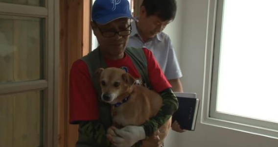 狗狗与爸爸相处5年，爸爸火灾后失踪，狗狗独守废墟，不愿离开！ 