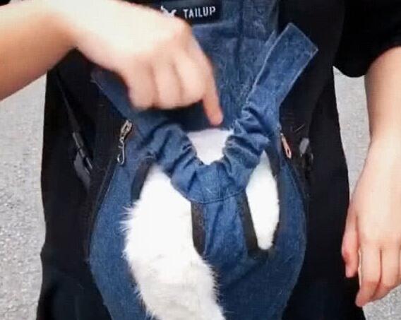 女子背猫咪出去遛弯，十分钟不到就遭人围观，低头一看狂笑不止