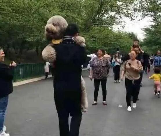 主人抱着狗狗在公园散步，路人投来好奇的目光，直呼这是只真狗吗