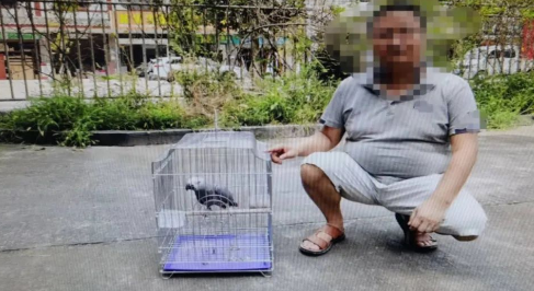 德阳一男子被立案调查!因他养了一只“宠物”…… 德阳一男子被立案调查!因他养了一只“宠物”……