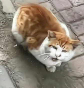 流浪猫被钢针刺进身体，围着路人叫“救命”，猫：本喵被偷袭了