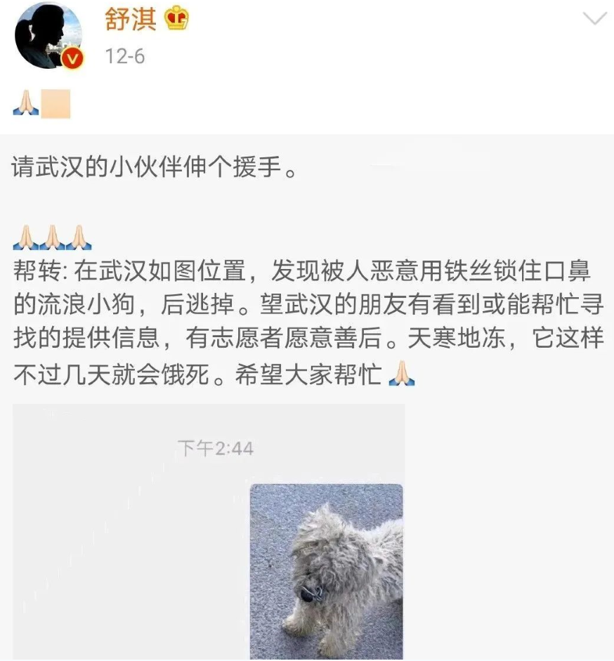 流浪狗嘴巴被铁丝绑住,无法进食喝水,在好心人的帮助下它有了家 流浪狗嘴巴被铁丝绑住,无法进食喝水,在好心人的帮助下它有了家