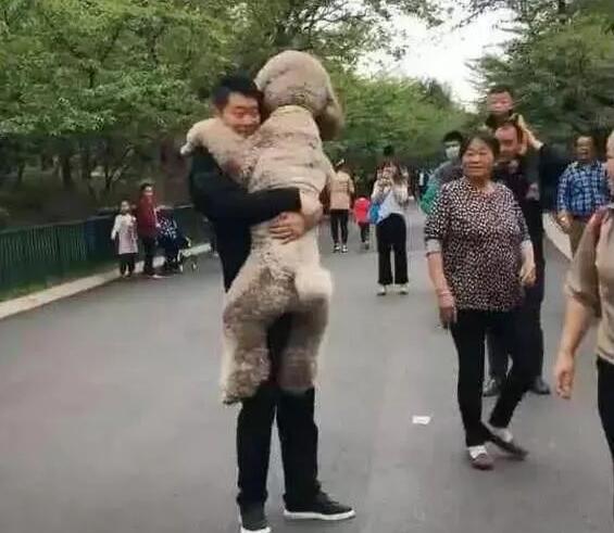 主人抱着狗狗在公园散步，路人投来好奇的目光，直呼这是只真狗吗