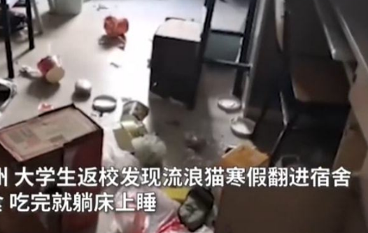 学生推开宿舍门愣在了，瞟了一眼舍友的床后：哪里来的小猫？